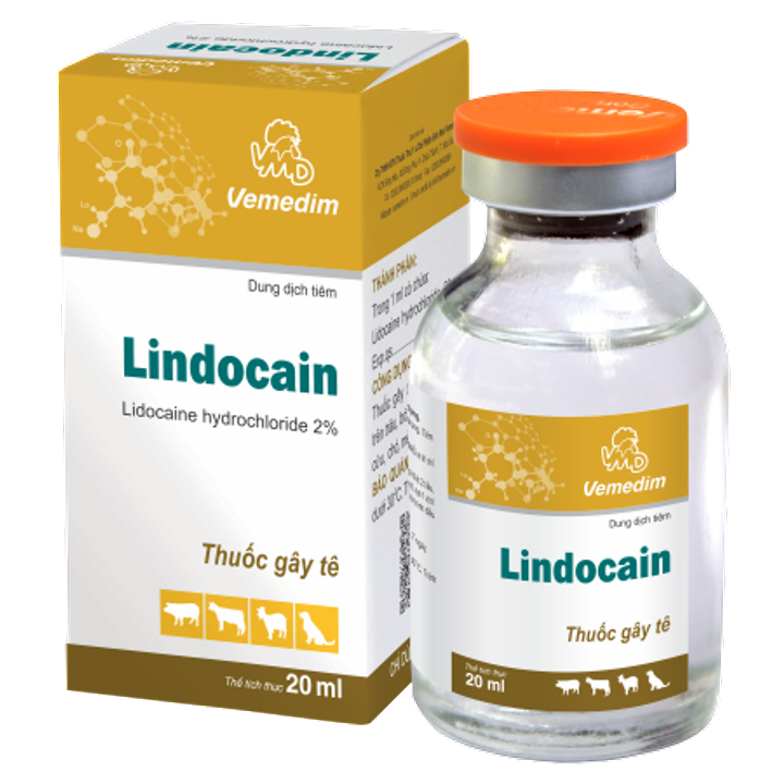 Lindocain