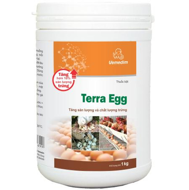 Terra Egg