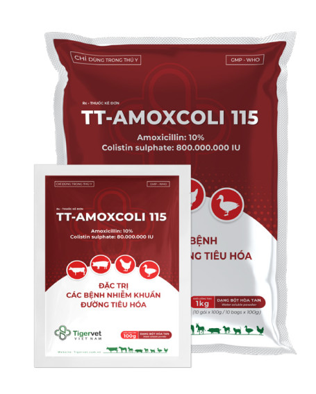 TT-AMOXCOLI 115 - TIGERVET