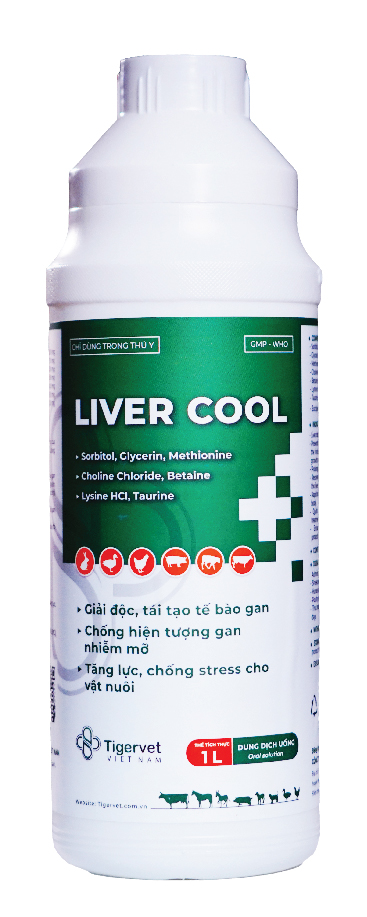 LIVERCOOL - TIGERVET