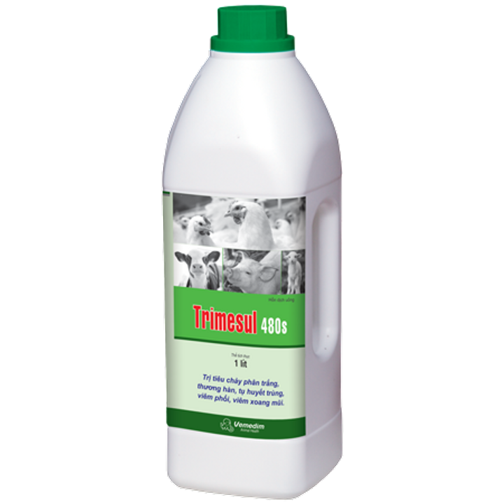 Trimesul 480S (GSGC)