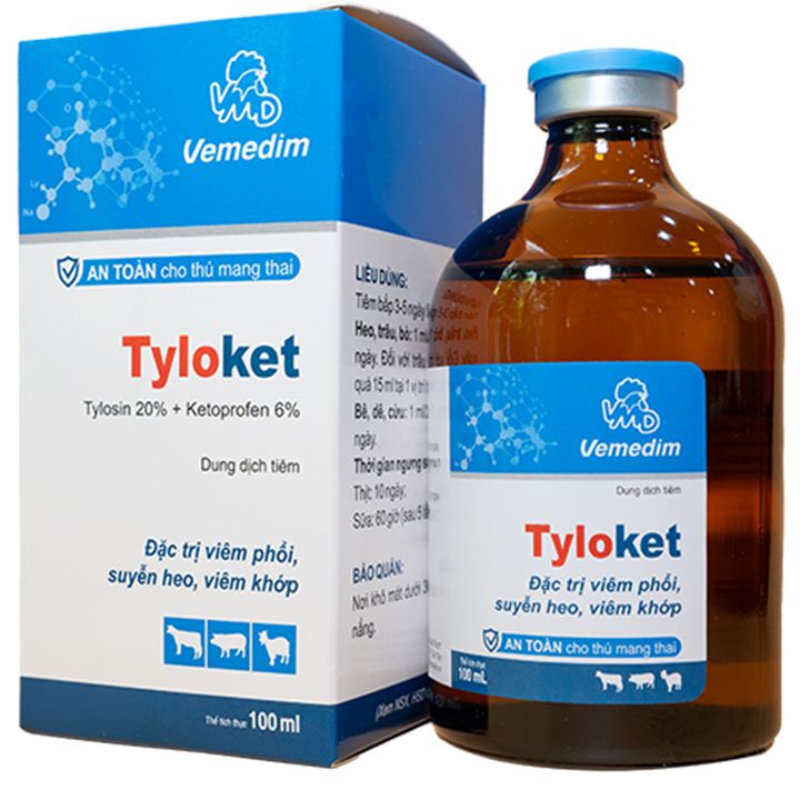 Tyloket