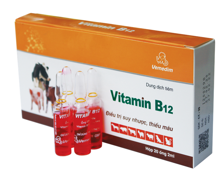 Vitamin B12
